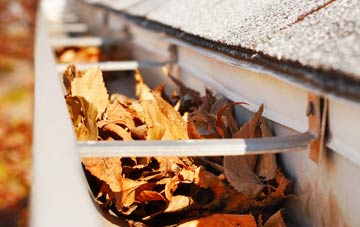 Upper Chute gutter cleaning companies