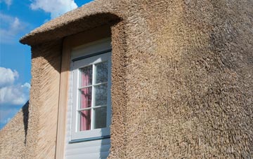 Upper Chute thatch roof disadvantages